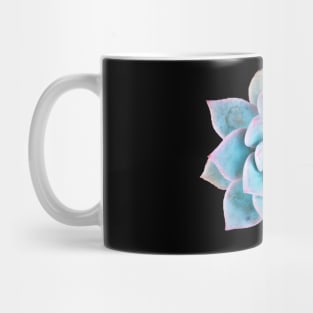 Echeveria blue bird Mug